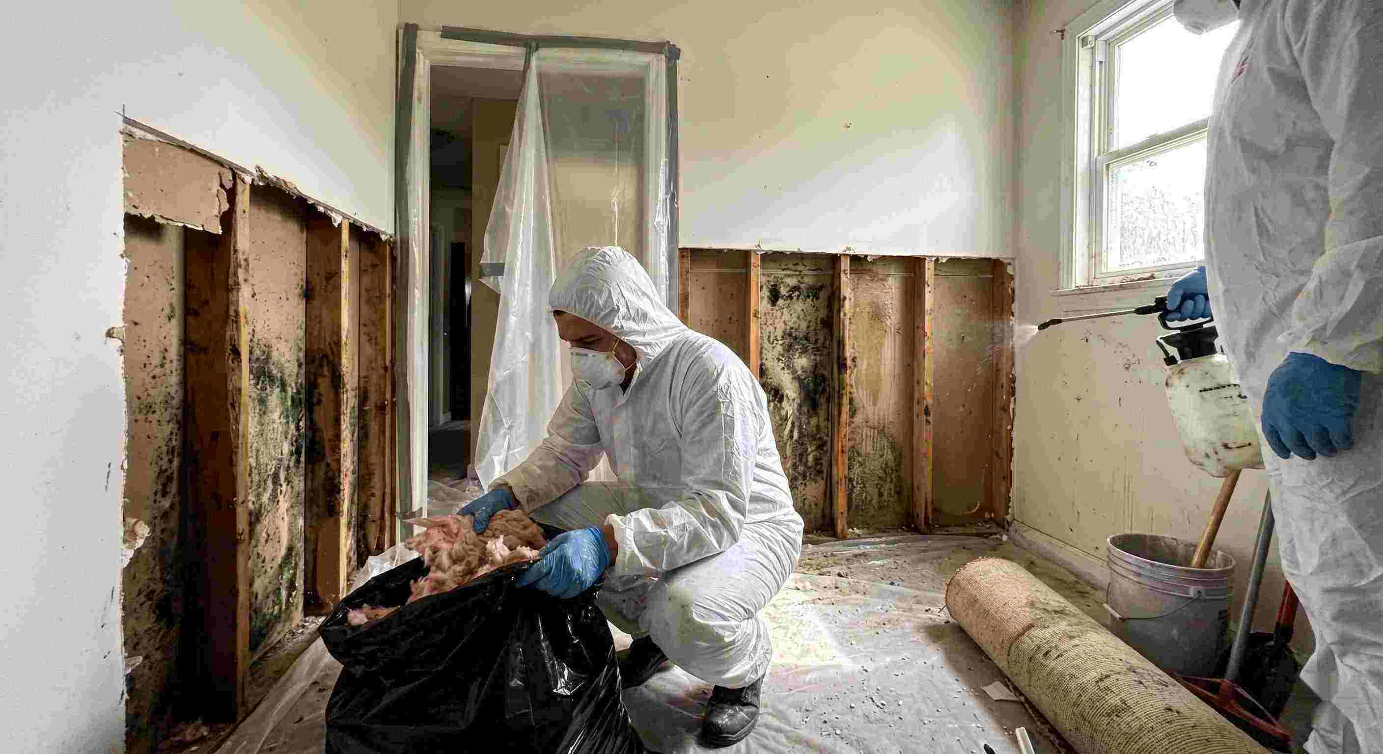 Top-rated mold remediation services removing mold behind wall in home in Corona